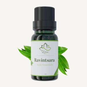 LOTUS BIO Huile Essentielle de Ravintsara